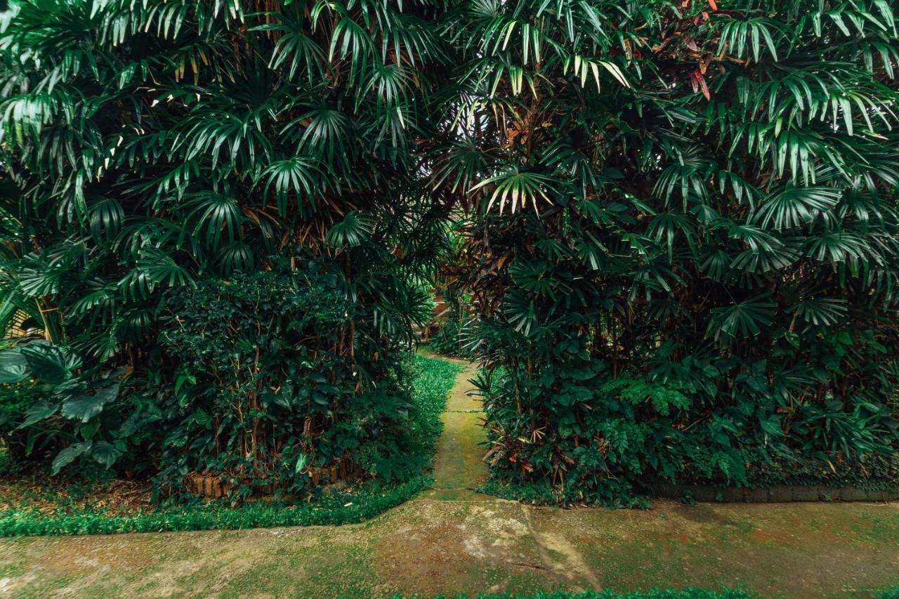 Suastika Lodge Ubud Buitenkant foto